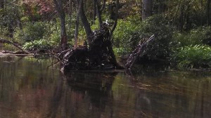 IMG_20140731_155231_176